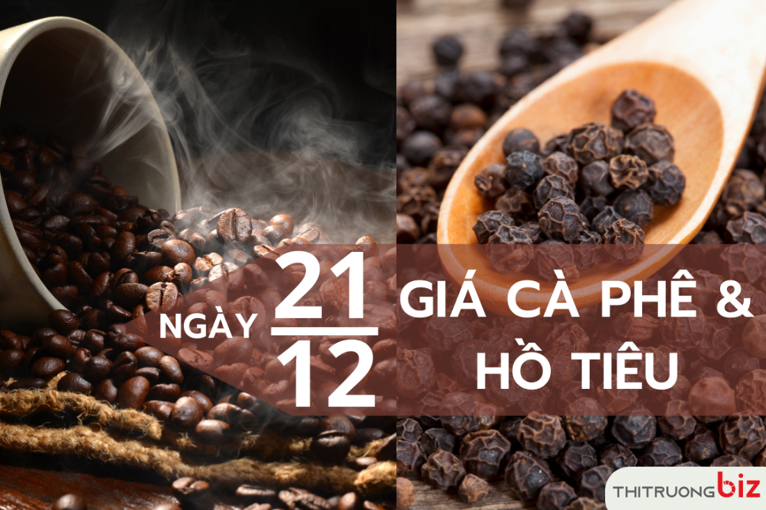 Giá cà phê và hồ tiêu hôm nay 21/12: Cà phê trong nước giảm 200 đồng/kg, hồ tiêu đi ngang
