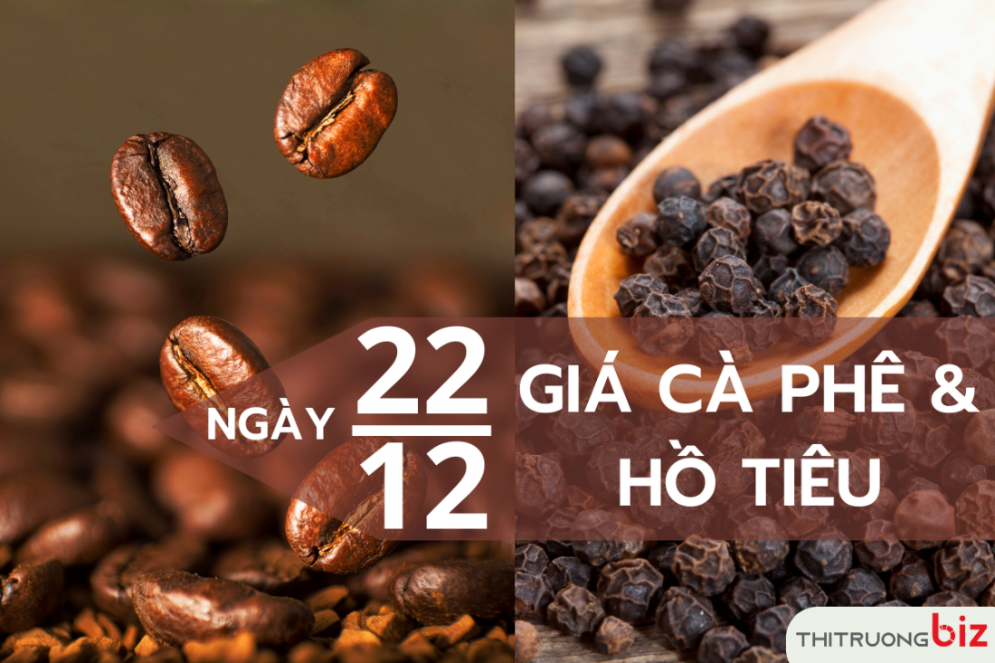 Giá cà phê và hồ tiêu hôm nay 22/12: Giá cà phê tăng nhẹ 200 đồng/kg, giá hồ tiêu đi ngang