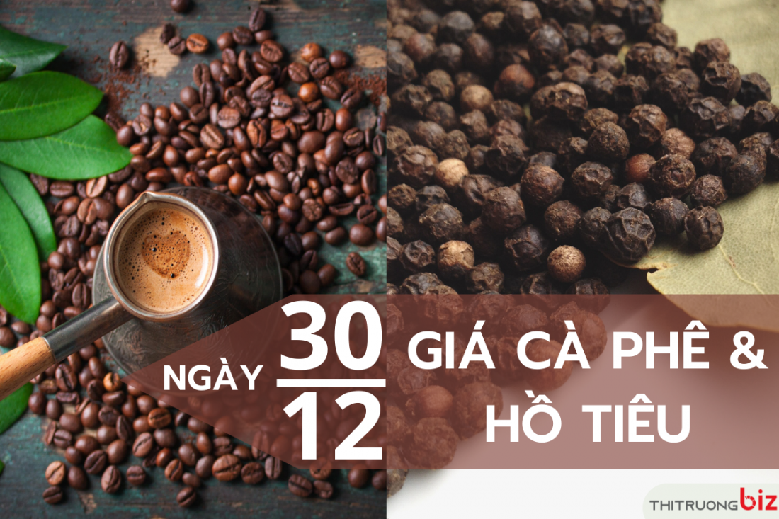 Giá cà phê và hồ tiêu hôm nay 30/12: Giá cà phê trong nước tiếp tục giảm, giá tiêu tăng 1.000 đồng/kg