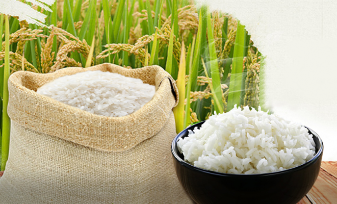 Giá gạo ngày 3/8 ổn định trong nước, xuất khẩu giảm mạnh.