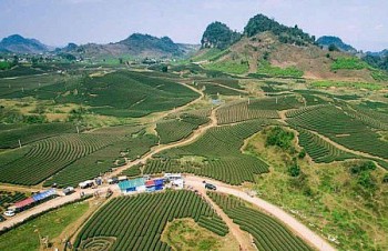 Mộc Châu - Sơn La đón khu bảo tồn hệ sinh thái nông nghiệp hơn 1.500ha