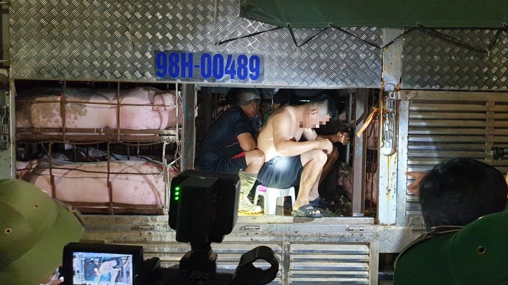 Bản tin ngày 06/10: Phát hiện nhóm người trốn trong thùng xe chở lợn nhằm thông chốt