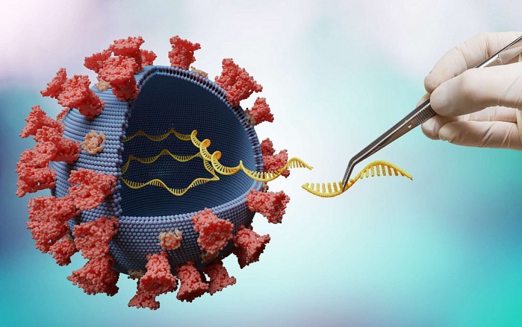 Kháng thể cực mạnh chống lại SARS-CoV-2 vừa được các nhà khoa học Thụy Sĩ phát hiện.