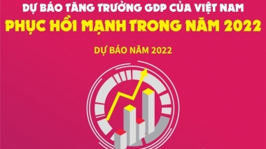 Dự báo tăng trưởng GDP của Việt Nam phục hồi mạnh trong năm 2022