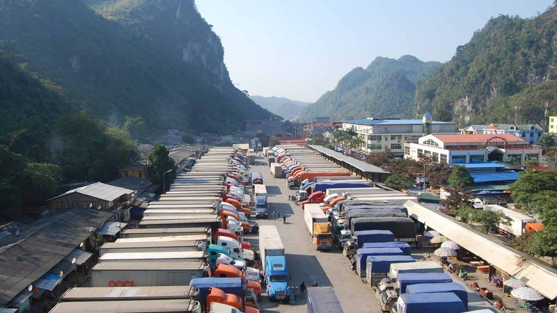 Lạng Sơn tạm dừng tiếp nhận phương tiện chở hoa quả tươi xuất khẩu  - Ảnh 1.