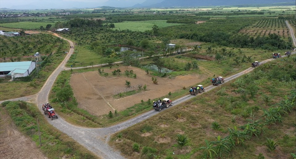 Nông trại của Nguyễn Tá Đông đã được mở rộng từ 10ha lên 56ha.