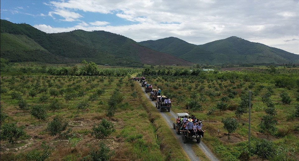 Nông trại rộng 56 ha của Nguyễn Tá Đông chia thành nhiều khu vực để dễ dàng quản lý.
