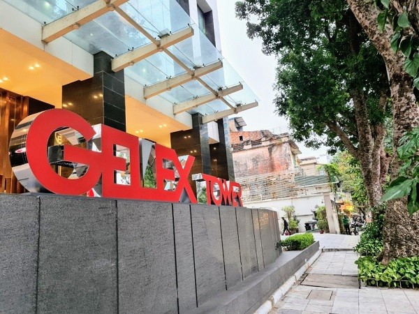 GELEX là công ty gì? Quá trình hình thành và phát triển của GELEX