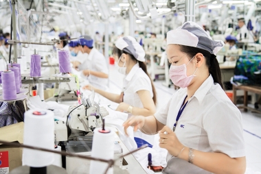 Kinh tế Việt Nam: Dấu hiệu phục hồi tích cực
