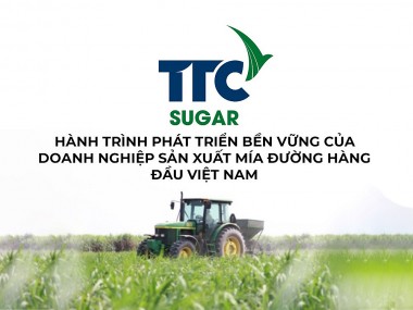 TTC Sugar là gì và quá trình vươn lên thành doanh nghiệp mía đường hàng đầu Việt Nam