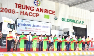Cần Thơ: Một doanh nghiệp trúng thầu xuất 15.000 tấn gạo sang Hàn Quốc
