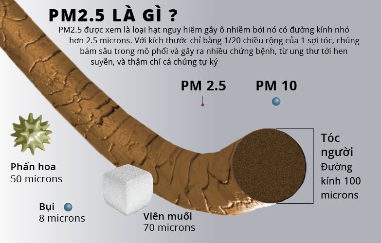 Bụi mịn PM2.5 xuất hiện trong không khí bắt nguồn từ nguyên nhân tự nhiên và nguyên nhân nhân tạo.